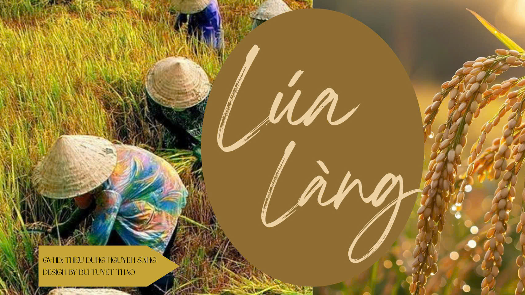 BST “LÚA VÀNG”: TINH HOA LÀNG LÚA VIỆT NAM VÀ HƠI THỞ DẠ HỘI ĐƯƠNG ĐẠI CỦA NTK BÙI TUYẾT THẢO